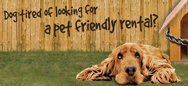 Pet Friendly Housing